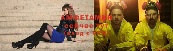 индика Бородино
