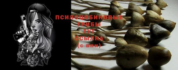 индика Бородино