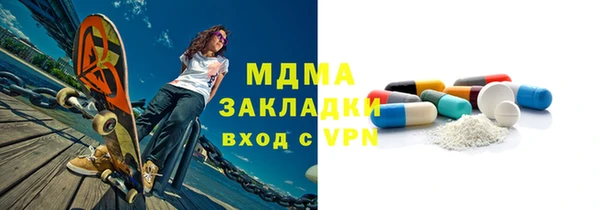 индика Бородино