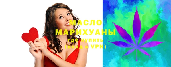 индика Бородино