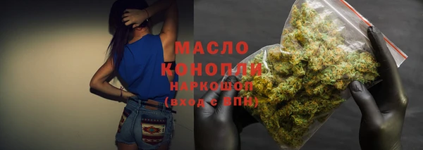 индика Бородино