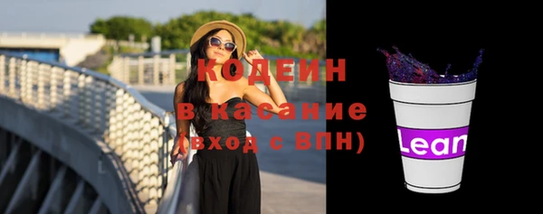 индика Бородино