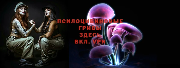 индика Бородино