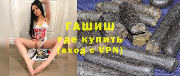 индика Бородино