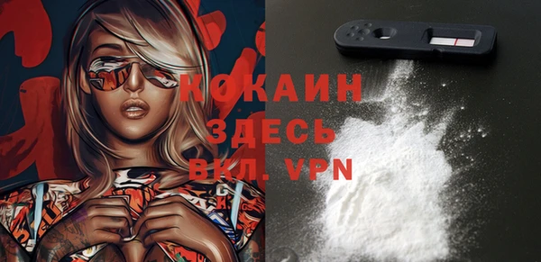 индика Бородино