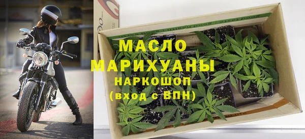 индика Бородино