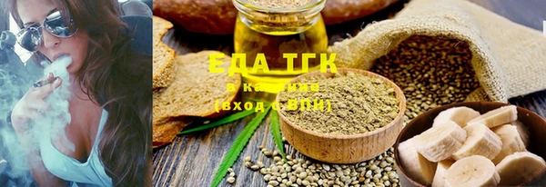 индика Бородино