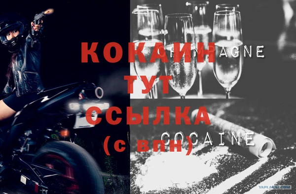 индика Бородино