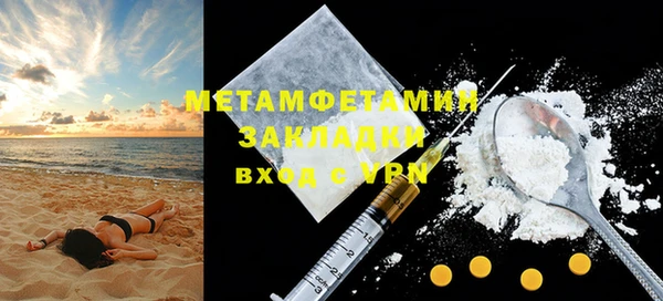 индика Бородино