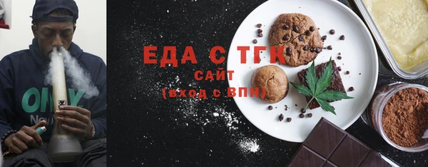 индика Бородино