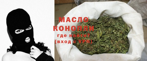 индика Бородино