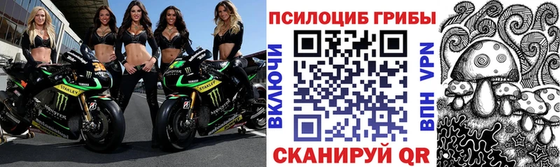 где продают   ОМГ ОМГ зеркало  Галлюциногенные грибы мухоморы  Бугуруслан 