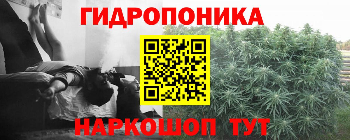 Марихуана план  Бугуруслан  Бошки Шишки индика  Шишки марихуана планчик  МАРИХУАНА THC 21% 