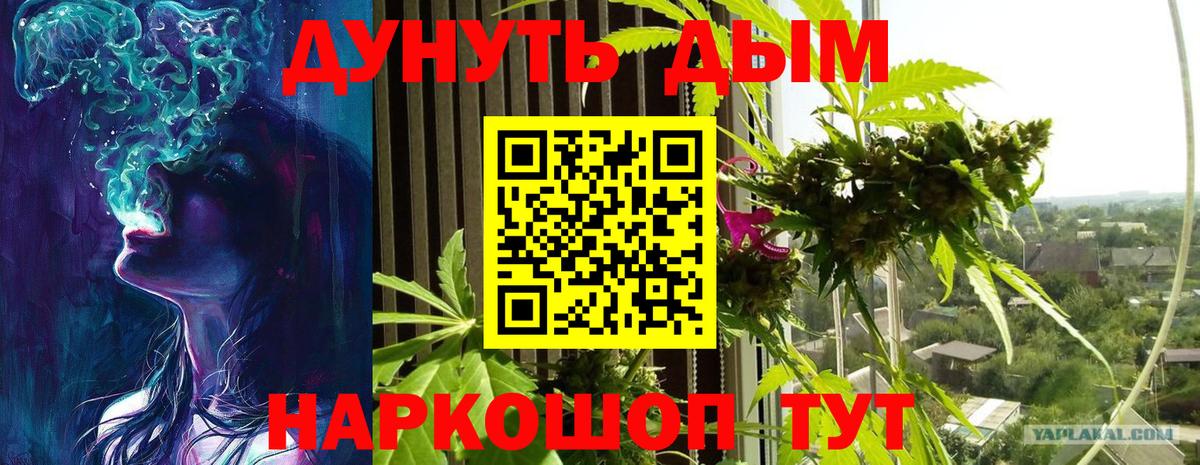 Бошки марихуана план Бугуруслан